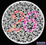 體檢色卡 色盲色卡 體檢辨色卡 醫院用色卡